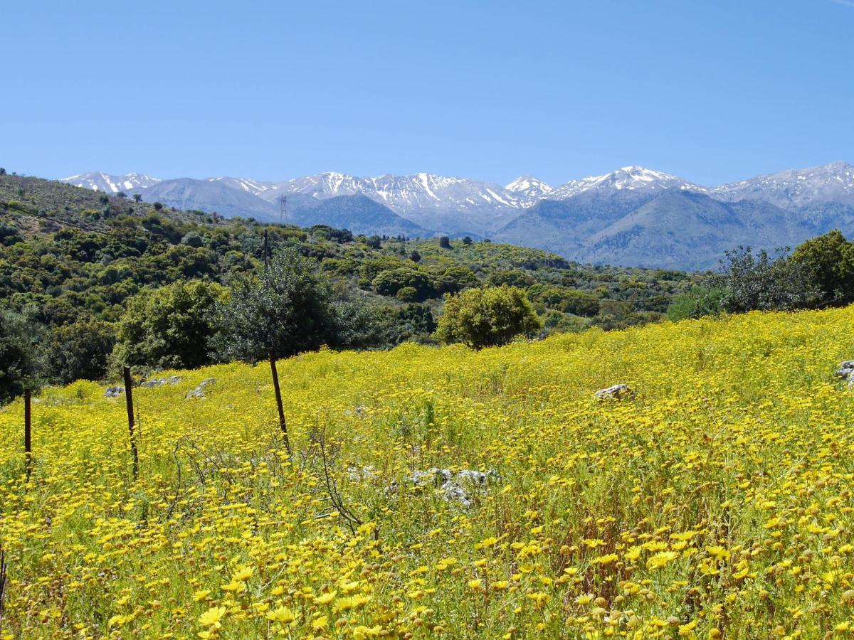 Villa Amvrosia Nr Kalives Crete Arménoi エクステリア 写真